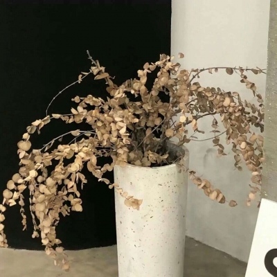 阿克塞FurryQQ群介绍